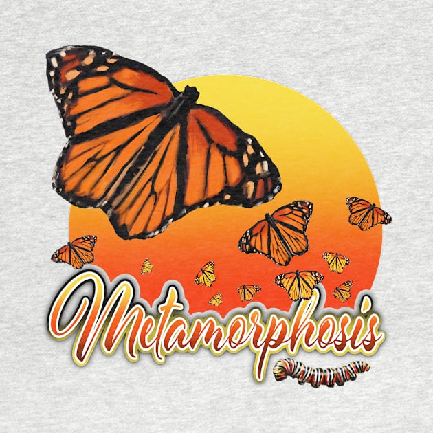 Monarch Butterfly Metamorphosis by PeggyNovak